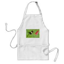 Ruby-throated Hummingbird (male) with petunia Aprons