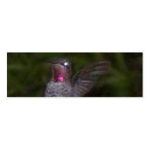 Ruby Throated Hummingbird, Mini Bookmarks Business Card