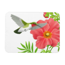 Ruby Throated Hummingbird on Geum Flower Premium M Rectangular Magnets