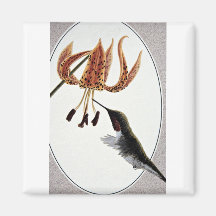 Ruby-throated hummingbird refrigerator magnet