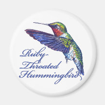 Ruby Throated Hummingbird Scripted Magnets