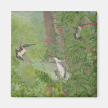 Ruby-throats in Fall Magnet