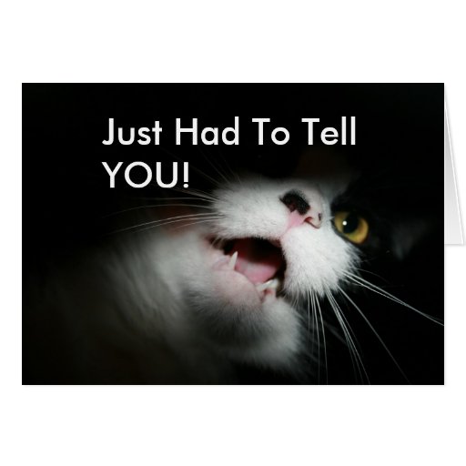 Rude Cat Custom and Sayings Greeting Card Zazzle