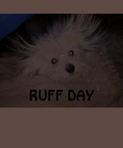Ruff Day Dog T-Shirt