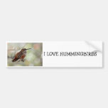 Rufous Hummingbird Tounge Bumper Sticker