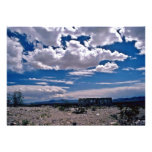 Ruins Of Abandoned House On Desert Personalized Invitations