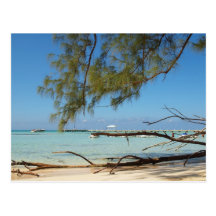 Rum Point - Cayman Islands Post Card
