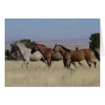Running Free Card