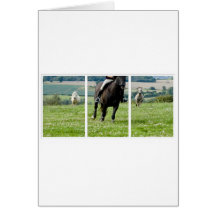 RUNNING HORSE & PONIES CARDS