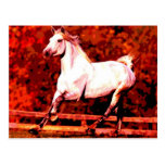 Running Horse Postcard