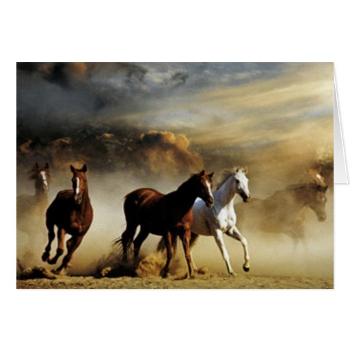 Running Horses Greeting Cards