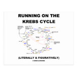 Running On The Krebs Cycle (Science Humour) Postcard