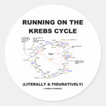Running On The Krebs Cycle (Science Humour) Round Sticker