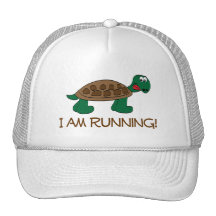 Running Tortoise Mesh Hats