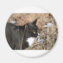 Rupert01 Refrigerator Magnet