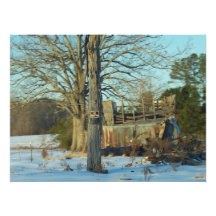 Rural Snow Scene Photo Print