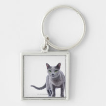Russian Blue Cat Key Chains
