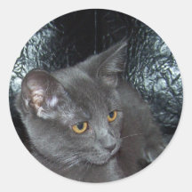 Russian Blue mix Round Stickers