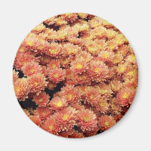 Rust Coloured Magnet
