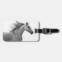 Rustic Galloping Andalusian Horse