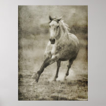 Rustic Galloping Andalusian Horse Posters