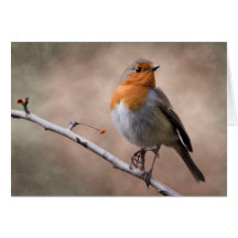 Rustic Robin Card