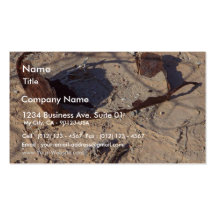 Rusty Cans Desert Sand Business Card Template