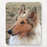 Sable Merle Collie Mouse Pads