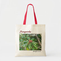 Saco Sanguinho Bolsa Para Compra