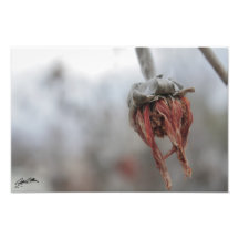 Sad Autumn Photo