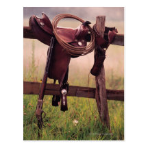 Saddle and lasso on fence postcard