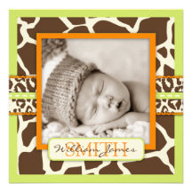 Safari Boy Green Announcement Square