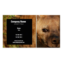 Safari business cards, hyenas - customisable