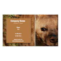 Safari business cards, hyenas - customisable