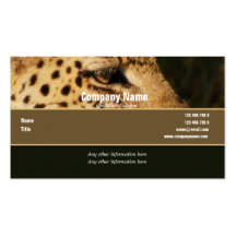 Safari business cards, leopards - customisable