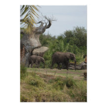 Safari Dreams 8 Photograph