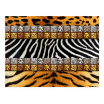 Safari Prints Postcards