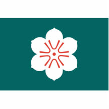 Saga Prefecture, Japan flag Acrylic Cut Outs