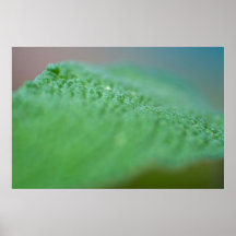 Sage Abstract Print