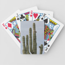 Saguaro Cactus of the Sonoran Desert playing cards