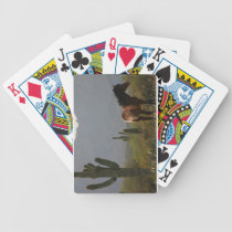 Saguaro Cactus of the Sonoran Desert :: Wild Horse playing cards