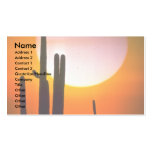 Saguaro cactus, Sonoran Desert, U.S.A. Desert Business Card Templates