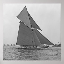 Sailboat Yankee 1900 Poster