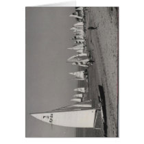 Sailing at Scott's Point Cards