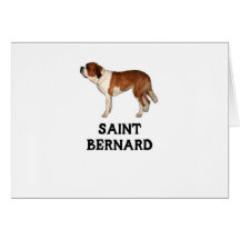 Saint Bernard Cards