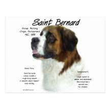 Saint Bernard (rough) History Design Postcards
