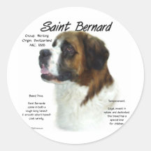 Saint Bernard (rough) History Design Stickers