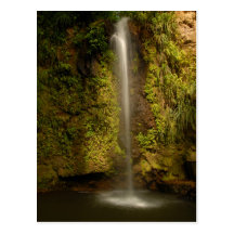 Saint Lucia waterfall Post Card