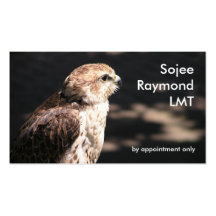 Saker Falcon I business card