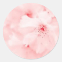 Sakura Cherry Blossom Sticker